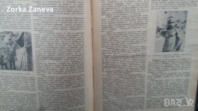 Списание "Природа" , снимка 11 - Антикварни и старинни предмети - 39480052