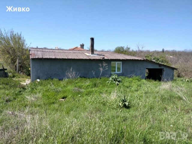 Голям имот в село Щипско, област Варна , снимка 3 - Къщи - 52637656