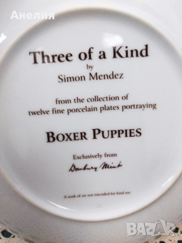 Колекционерски чинии Боксер, снимка 13 - Декорация за дома - 51883321