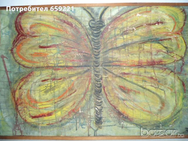 ПЕПЕРУДА в Картини в гр. Горна Оряховица - ID9258052 | Bazar.bg