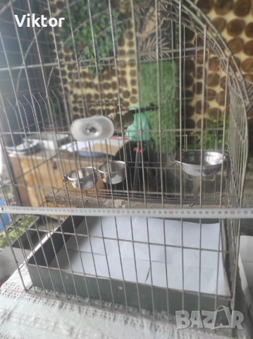 Клетка за папагал, снимка 2 - Папагали - 52348971