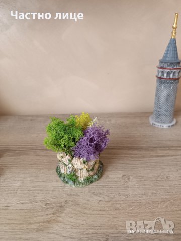 Мини кашпа с мъх, снимка 3 - Изкуствени цветя - 43668820