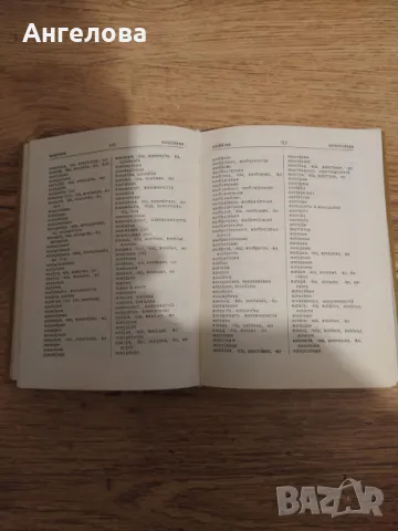 правописен речник, снимка 7 - Българска литература - 47805318