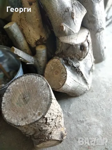 Продавам сух орехов материал, снимка 6 - Дърва за огрев - 47680327