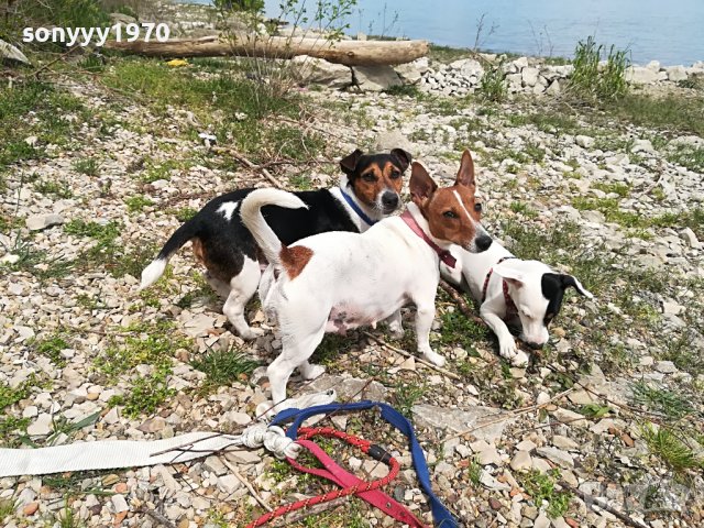 джакове-видин 1505221539