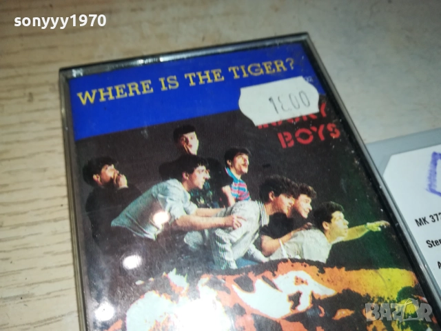 LUCKY BOYS-ORIGINAL TAPE 3011251915, снимка 9 - Аудио касети - 52595296