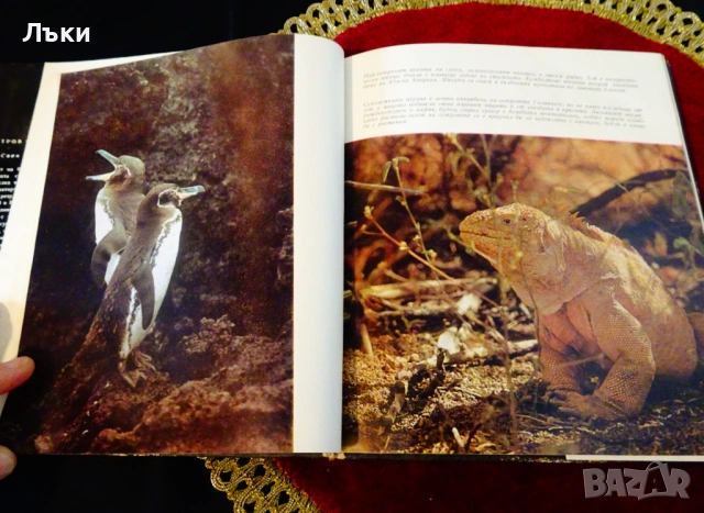 Остров след остров,Свен Йилсетер. , снимка 4 - Художествена литература - 53134058