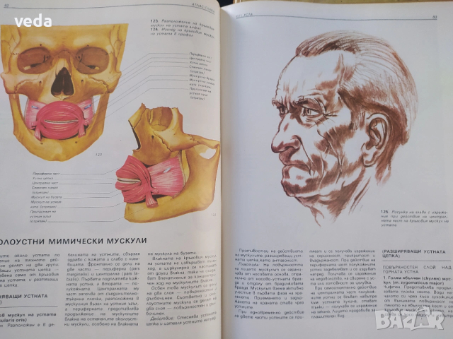 АТЛАС Глава, авт. Христо Кирчев, ИЗД. 1985 Г., снимка 5 - Специализирана литература - 53163984