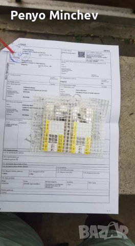 Пчелни семейства (малки) Отводка карника Carnica, снимка 8 - Други - 43328043