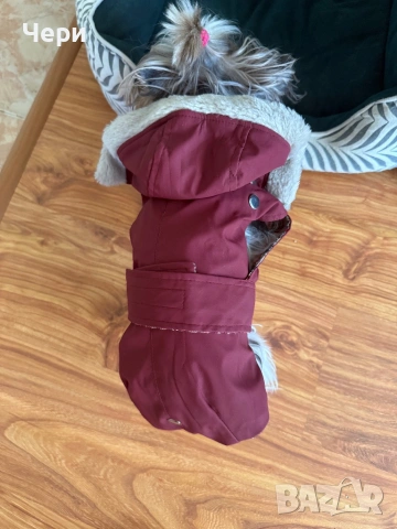 Дрешка за дребна порода куче, снимка 4 - За кучета - 53074191