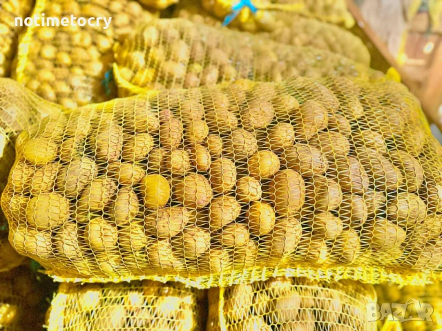 Продавам картофи за семе и консумация