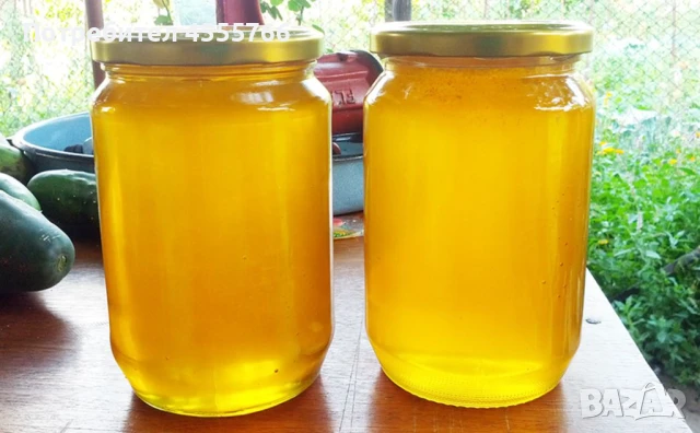 Био-пчелен мед