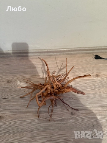Декорация / корени от азалия, снимка 2 - Декорация за дома - 52583856
