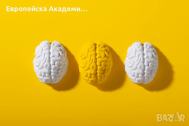 Психология - онлайн обучение, снимка 5 - Други курсове - 50897115