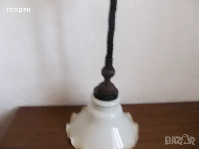 Полилеи, снимка 2 - Полилеи - 48281426