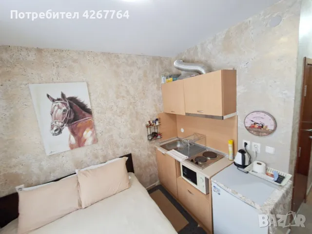 Уютно студио в Пампорово, снимка 3 - Апартаменти - 49879306