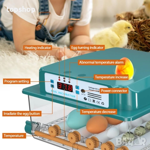 НОВ Auveach Автоматичен инкубатор за яйца Инкубатор за 16 кокоши яйца Автоматичен контрол..., снимка 2 - Други стоки за животни - 53186379