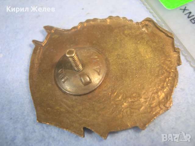 ОТЛИЧНИК по БОЙНАТА и ПОЛИТ. ПОДГОТОВКА Стара ЕМАЙЛИРАНА БРОНЗОВА ЗНАЧКА на ВИНТ Iва Д.З.Л.Ф. 32608, снимка 11 - Колекции - 38465693