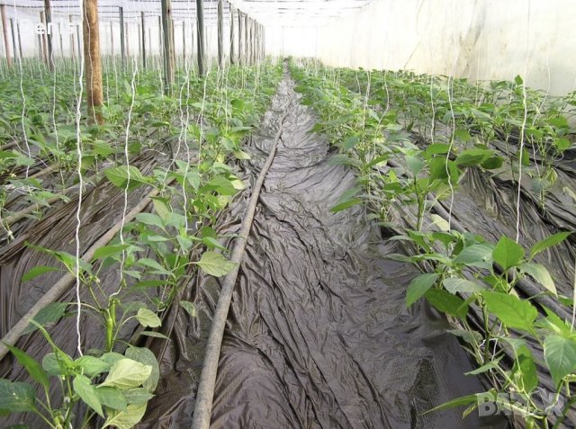 Висококачествено найлоново фолио за мулчиране, снимка 5 - Други - 43757514