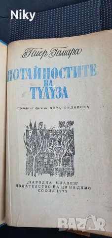 Потайностите на Тулуза-Пиер Гамара , снимка 5 - Художествена литература - 47643751