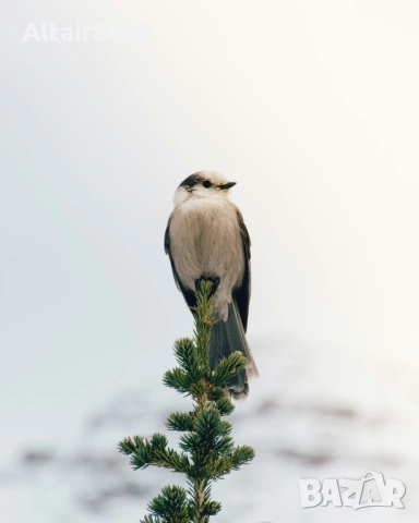 Nikon AF-S 18-140mm f/3.5-5.6G ED VR обектив Никон, снимка 10 - Обективи и филтри - 53567149