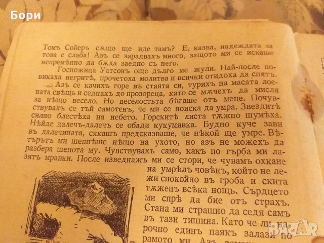 Приключенията на Хъкъ Финъ, първиятъ приятелъ на Томъ Сойеръ, снимка 3 - Българска литература - 26551162