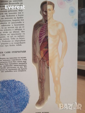 Човешкото тяло," прозрачна " енциклопедия от 1993 г., снимка 4 - Енциклопедии, справочници - 39007785