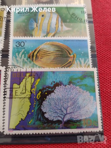 Пощенски марки смесени серия ЕКЗОТИЧНИ РИБИ много красиви за КОЛЕКЦИЯ 37888 , снимка 5 - Филателия - 40455166