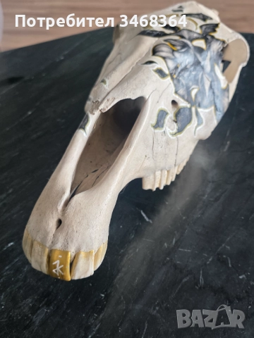 Конски череп за декорация - ръчно рисуван, снимка 2 - Декорация за дома - 51777796