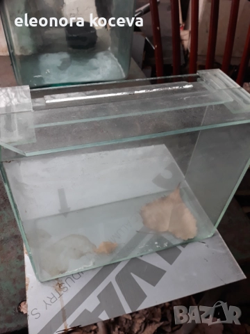 Продавам аквариум, снимка 4 - Аквариуми - 52574110
