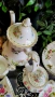 Пълен сервиз Royal Albert Flowers of the month , снимка 5