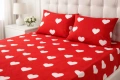 🌸 ПОДАРЪК ЗА 8 МАРТ 🌸  🔥 ПРОМОЦИЯ – ЧАРШАФ С ЛАСТИК (РАНФОРС) 🔥, снимка 1