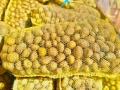 Продавам картофи за семе и консумация, снимка 1
