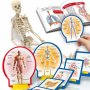 LISCIANI Малък гений: Открийте човешкото тяло, снимка 3