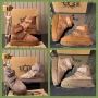 UGG дамски боти висок клас реплика, снимка 1