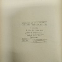 Михаил Бубьонов - Бялата бреза , снимка 9 - Художествена литература - 43129651