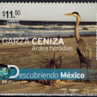 Мексико 2010 - птици MNH, снимка 1 - Филателия - 32789035