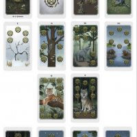 Anima Mundi Tarot - уникални 78 таро карти с кутия и хартиена книжка, снимка 8 - Карти за игра - 34657432