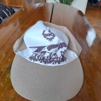 Стара шапка БЛРС, снимка 1 - Други ценни предмети - 40677672