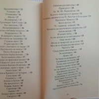 Нови 100 стихотворения. Книга шеста - Стоян Авджиев, снимка 4 - Художествена литература - 44862793