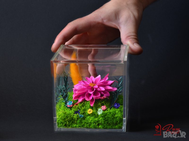 Вечни Цветя в Акрилна Кутия / Стилен Подарък за Рожден Ден на Жена / Естествена Вечна Далия в Кутия, снимка 1