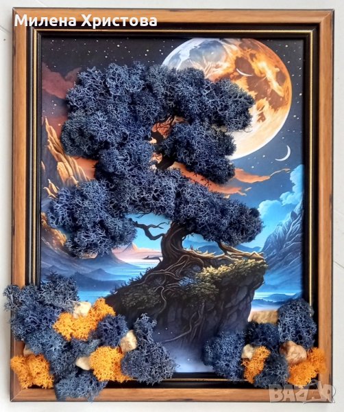 Картина със скандинавски мъх и камъчета , снимка 1