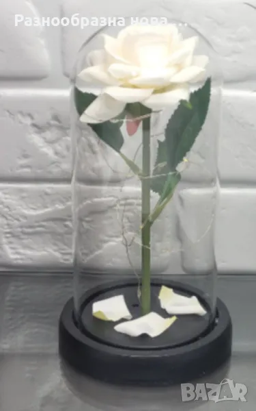 Бяла роза под стъклен купол - Вечна елегантност, снимка 1
