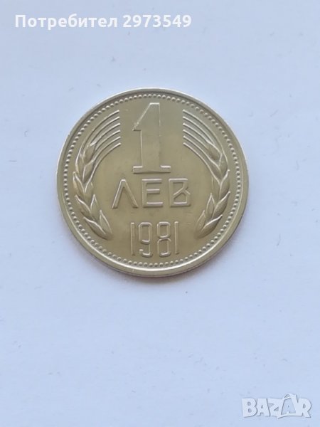 1 лев 1981 г. , снимка 1