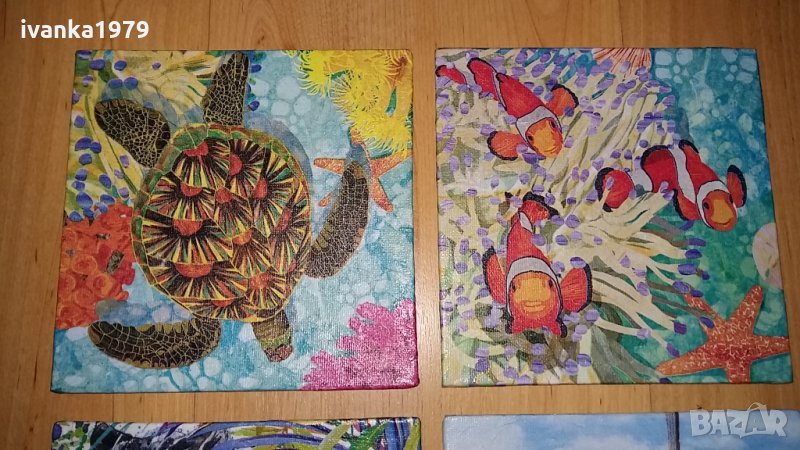 Декоративни пана морски, снимка 1