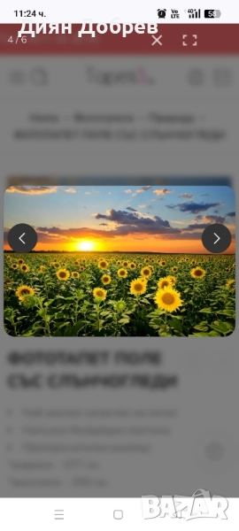 земя , снимка 1