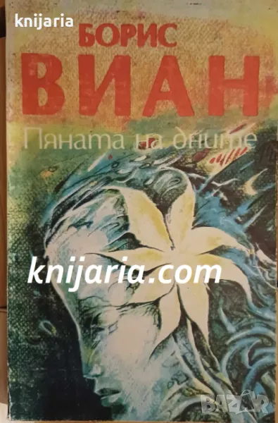 Пяната на дните, снимка 1