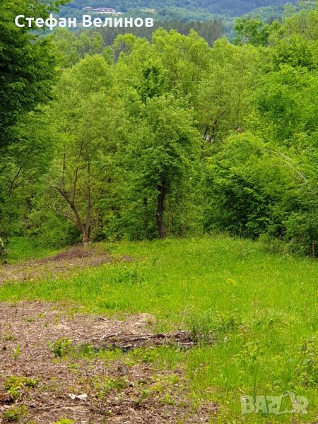 Продавам парцел в центъра на гр.Априлци, снимка 1