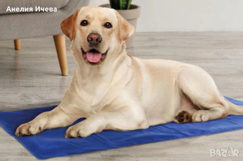 Охлаждаща подложка за домашни любимци , снимка 1