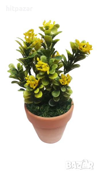 Ново! Декоративно цвете в саксия., снимка 1